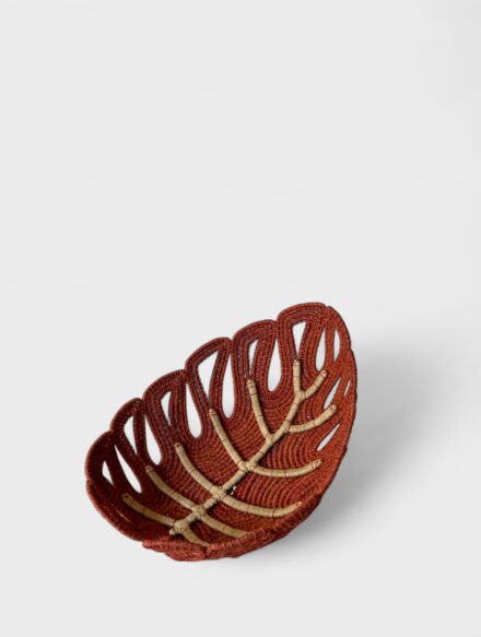 Fruteira folha pequena [JT]