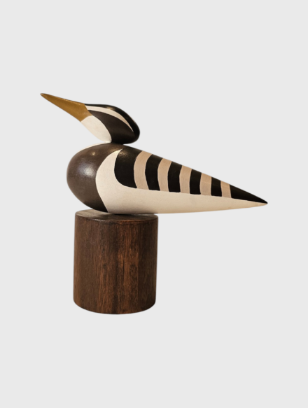 Pássaro Pavãozinho GG {MG}