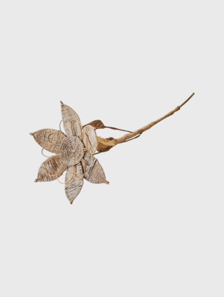 Flor {ABN}